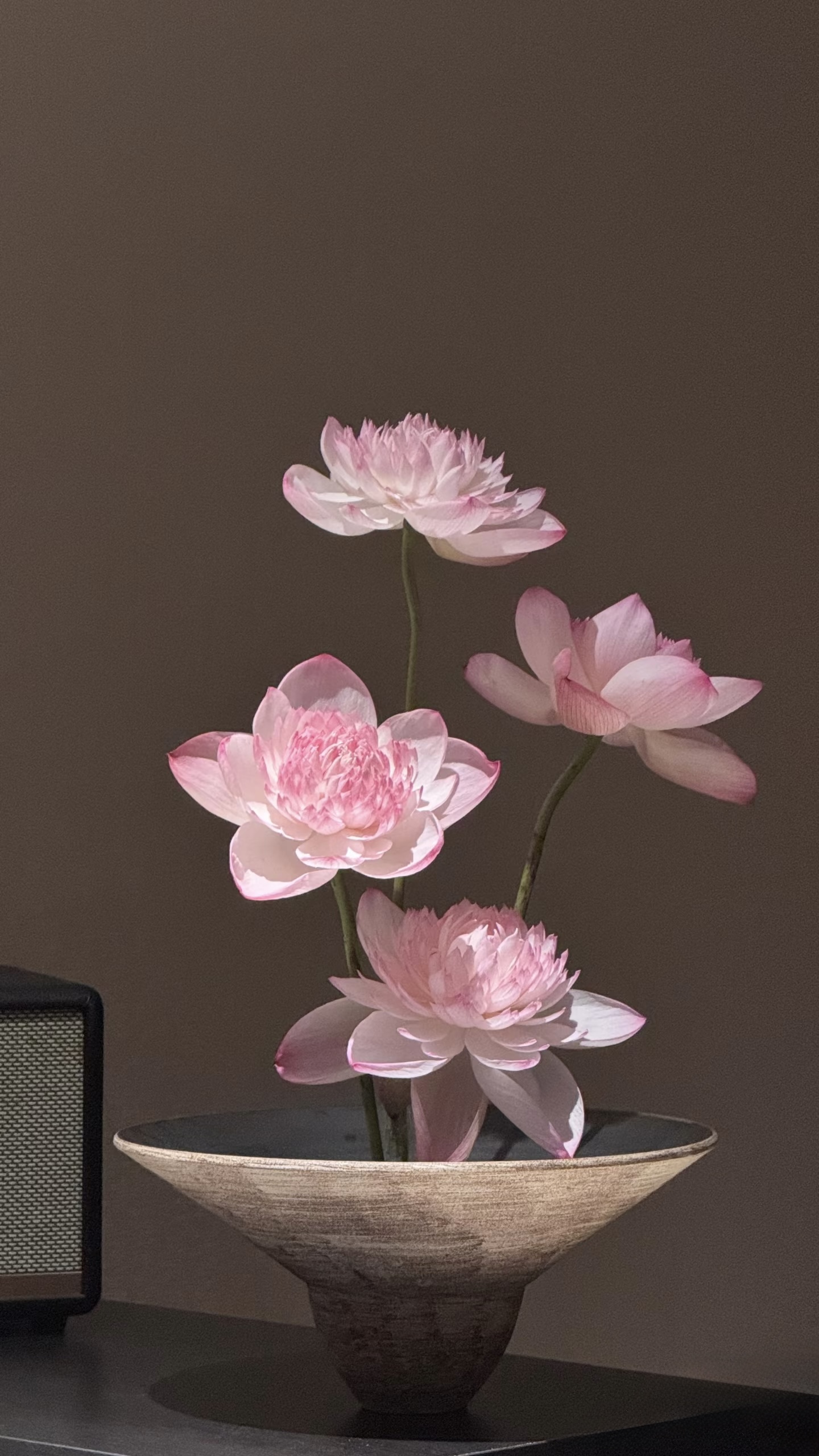 Mira Fleur residential floral — composed for the home