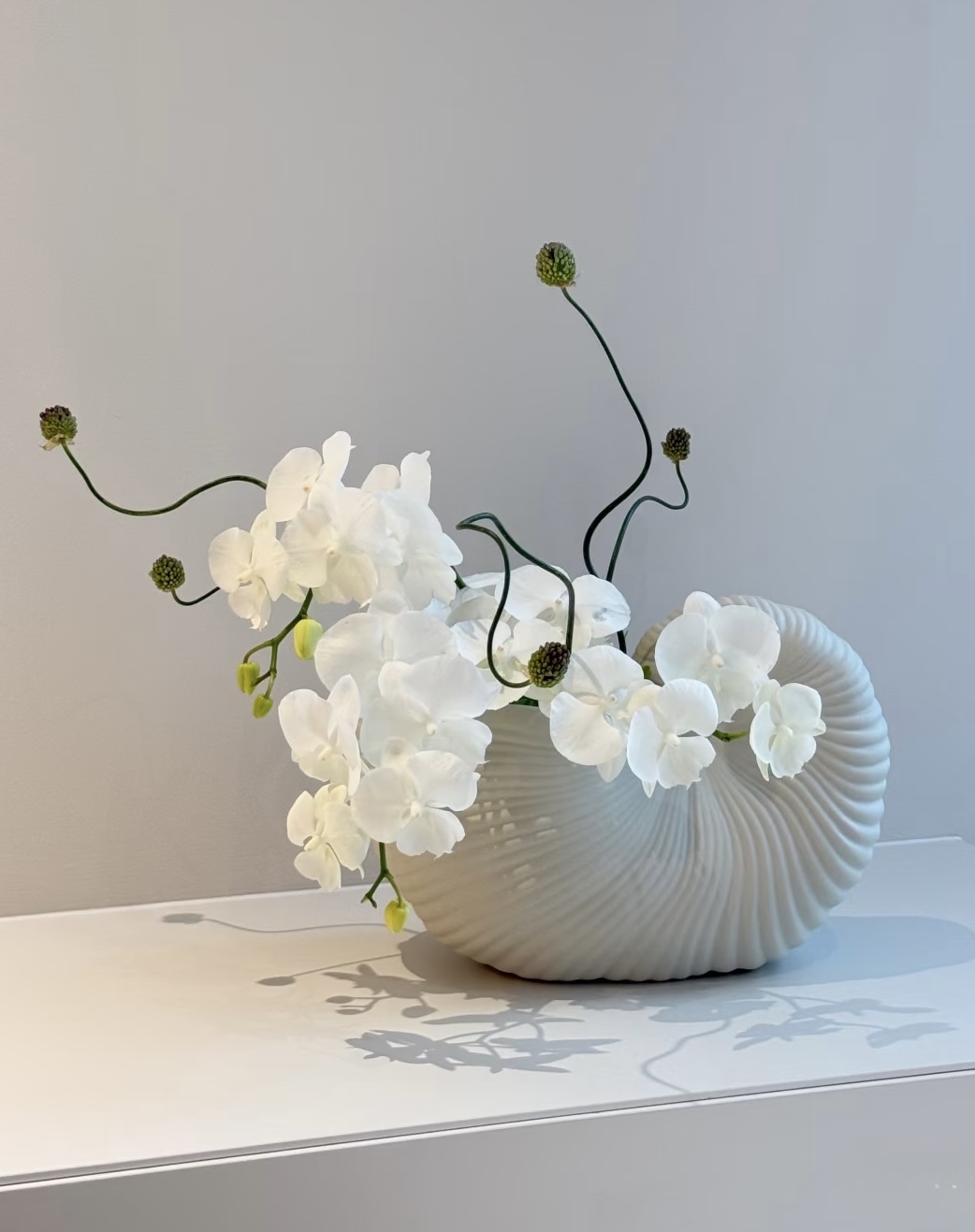 Mira Fleur residential floral — composed for the home