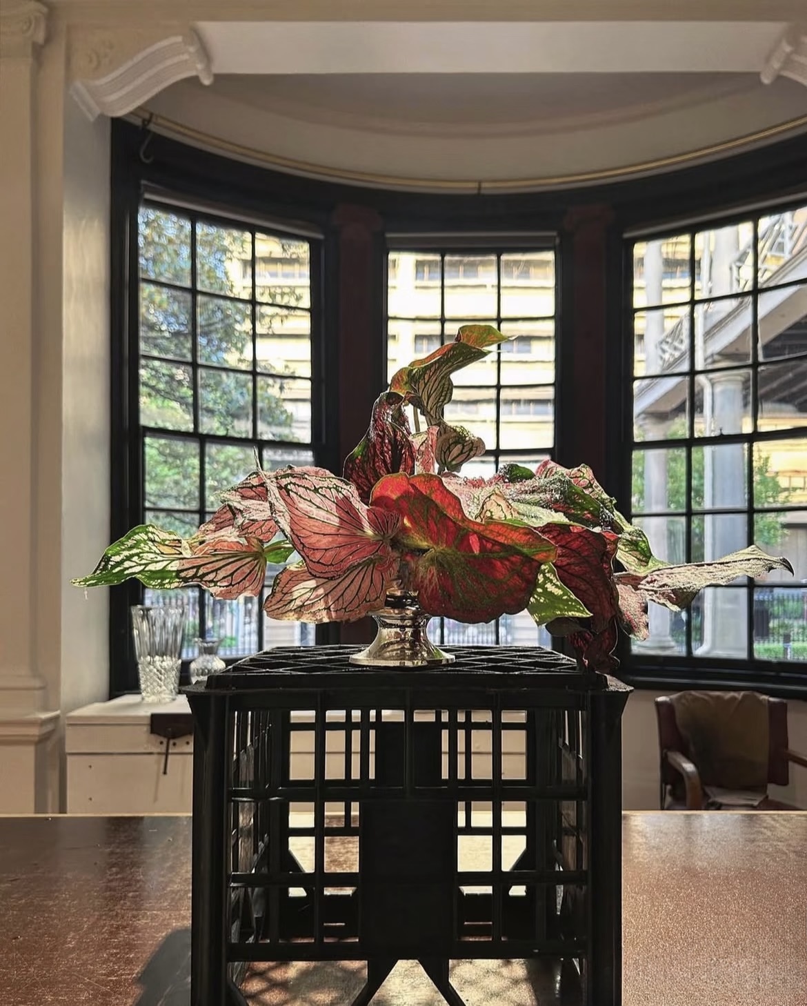 Mira Fleur residential floral — composed for the home