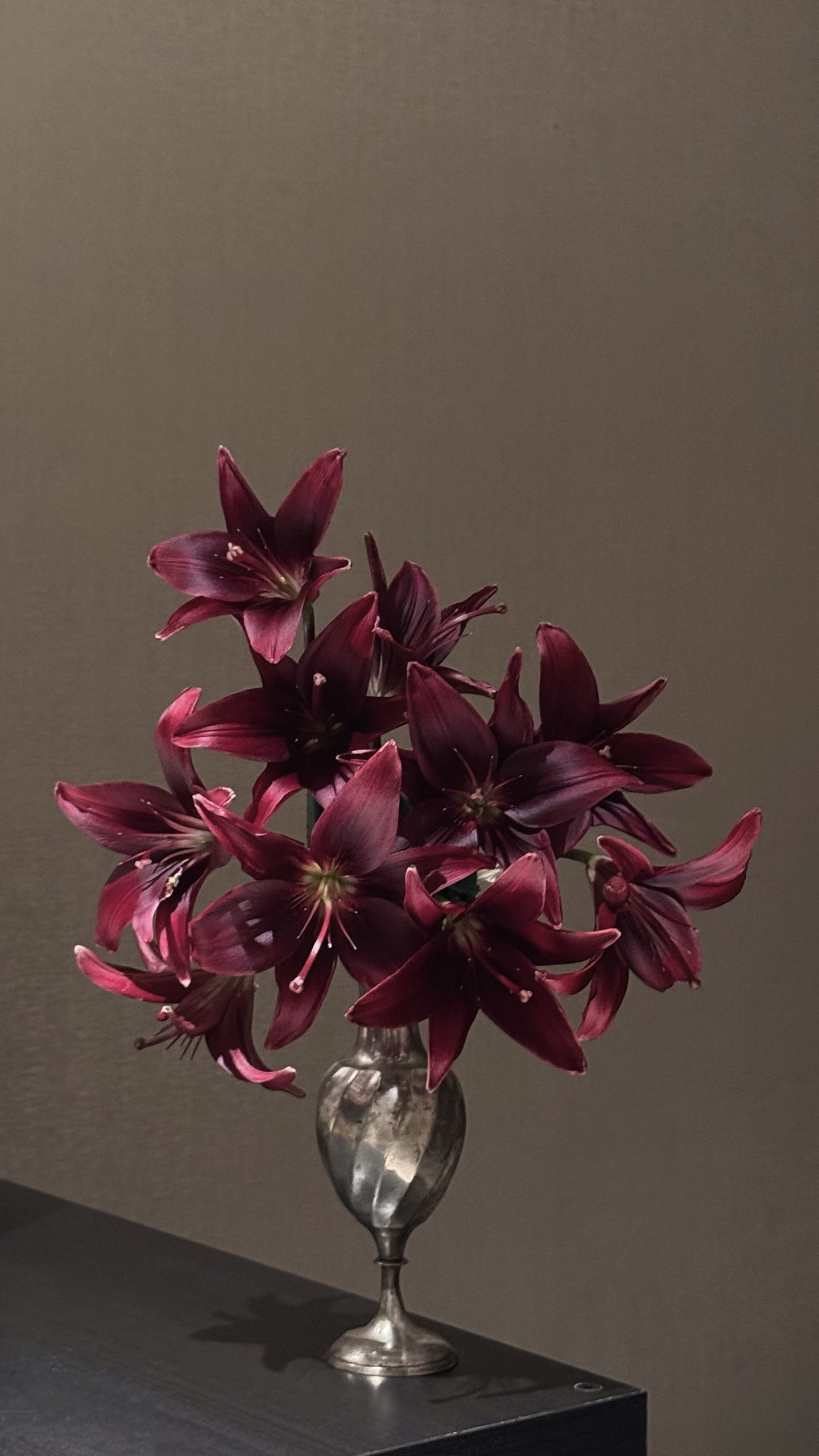 Mira Fleur residential floral — composed for the home